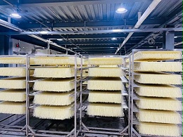 曬出品質，曬出健康：為何粉條曬制必選不銹鋼裝飾管