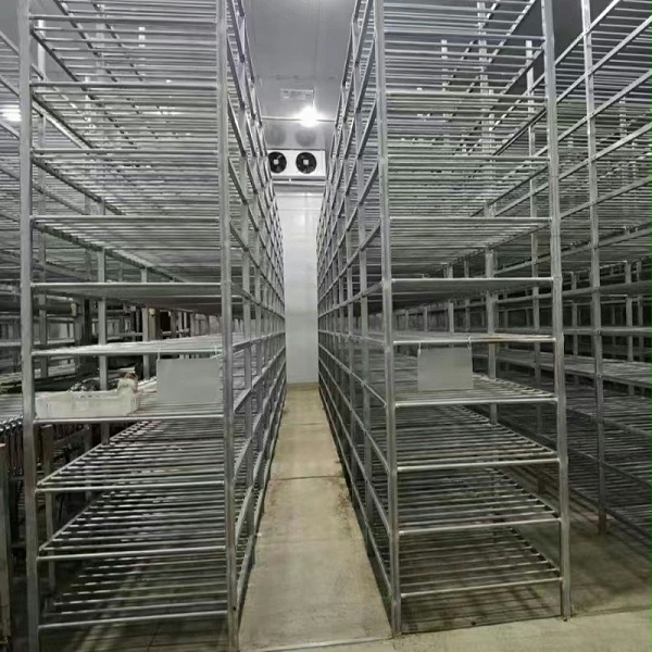 不銹鋼管材支架 不銹鋼管材支架